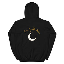 Load image into Gallery viewer, Live By The Sun Hoodie
