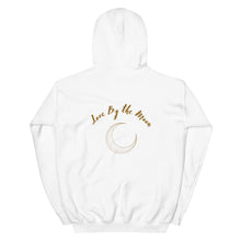 Load image into Gallery viewer, Live By The Sun Hoodie