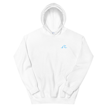 Load image into Gallery viewer, Take Me To The Tide Hoodie